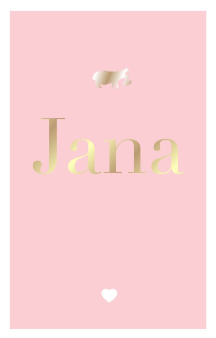 Geboortekaartje met kader in roze silhouet nijlpaard