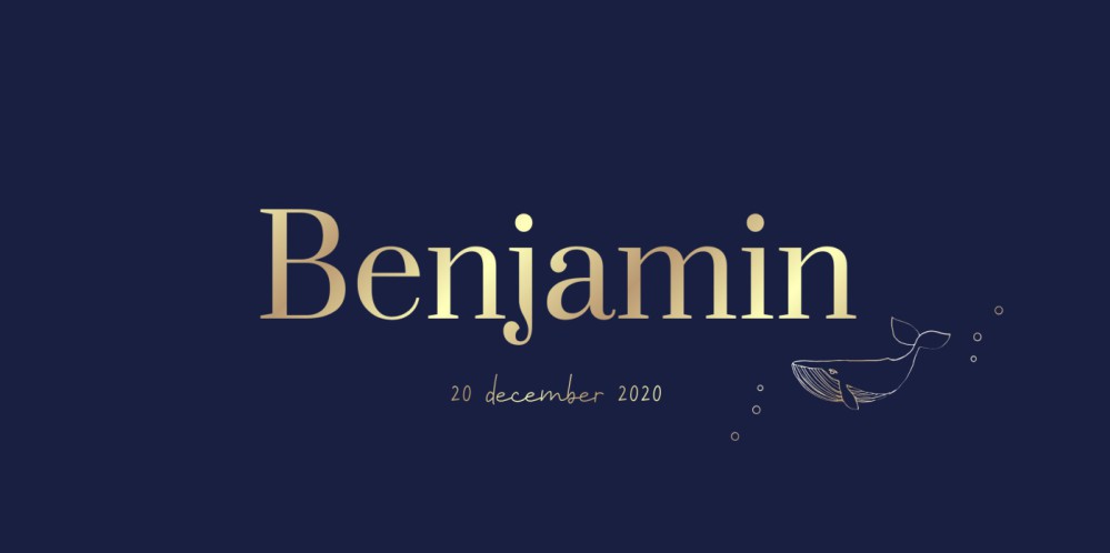 Geboortekaartje met walvis in de kleur donkerblauw