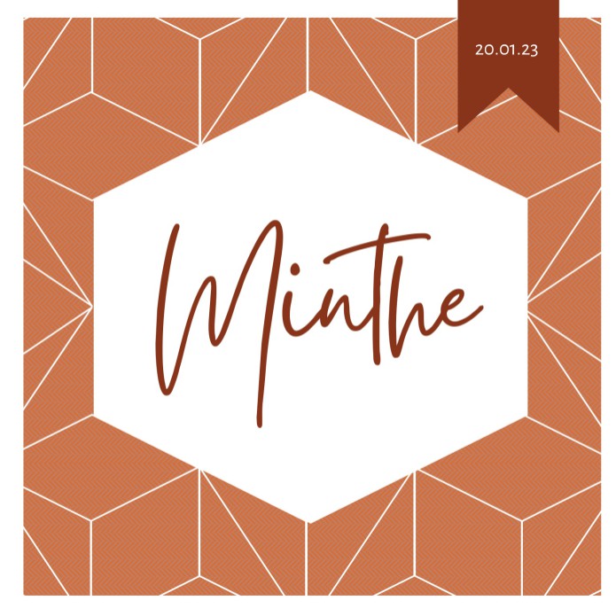 Grafisch geboortekaartje met hexagon terra