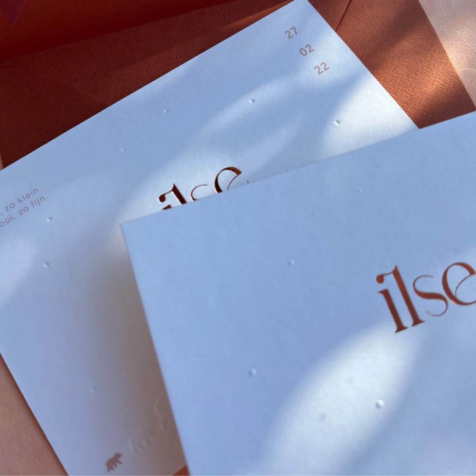 Luxe geboortekaartje meisje met ijsbeertjes uit het papier gedrukt en koperfolie