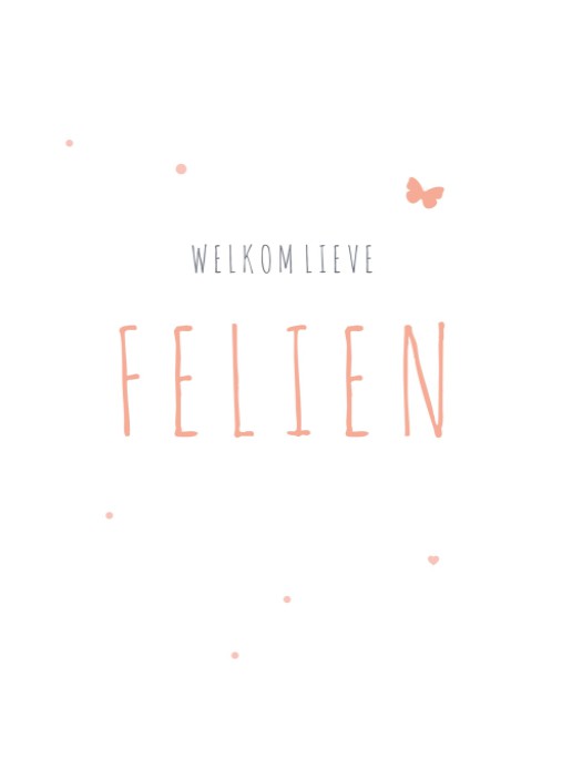 Lief geboortekaartje meisje vlinder