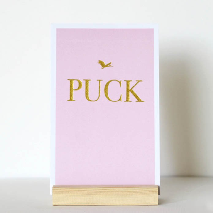 Geboortekaartje met kader in roze silhouet van ooievaar