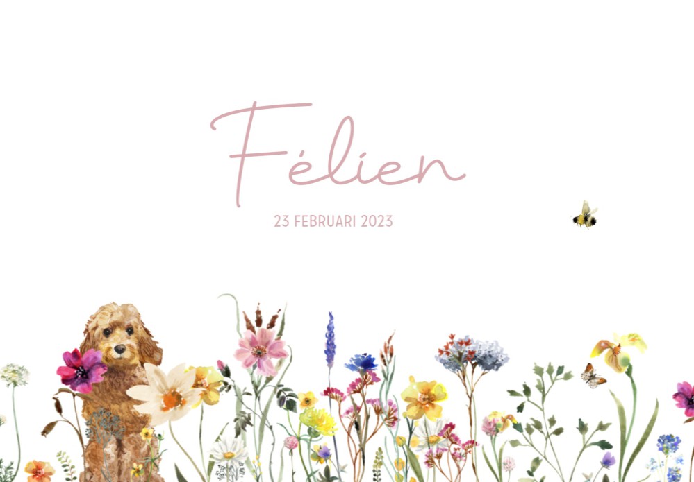 Romantisch geboortekaartje bloemen en hond