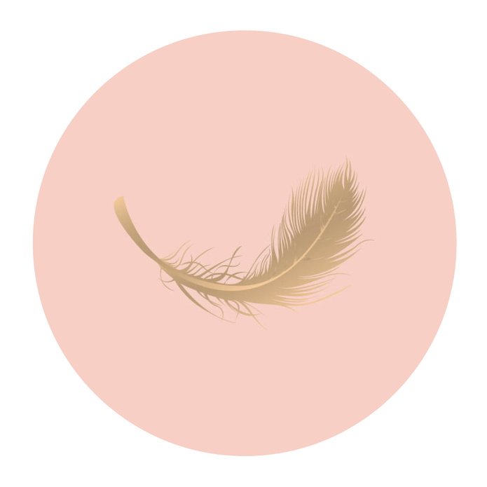 Sluitsticker roze, goud veertje