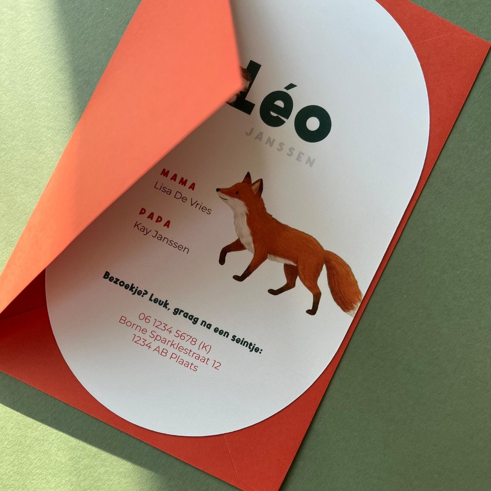 Warm illustratief geboortekaartje met bosdieren zoals vos, hertje en uil